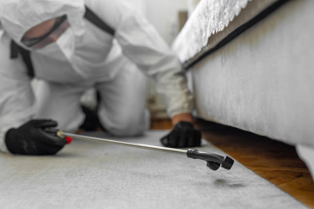Professional Bed Bug Control technician working in Live Oak, CA