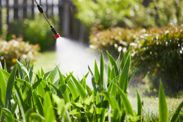 24/7 Emergency Bed Bug Control experts in Live Oak, CA